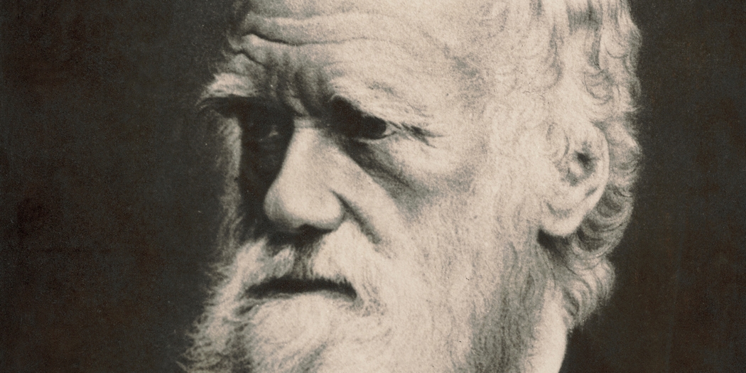 Charles Robert Darwin